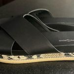 Treasure & Bond  Carter Snake Print Platform Sandals- size 8! Never worn! Photo 3