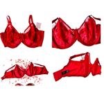 Smart & Sexy NWT Smart Sexy Pin Up Unlined Underwire Bra 46DDD Red Sheer Floral Valen… Photo 8