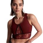 One Teaspoon  Wine Red Mesh Lace Bralette Size Small NWOT Casual Loungewear Bra Photo 3