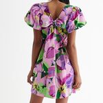 EXPRESS EUC Floral V Neck Puff Sleeve Bow Back Poplin Dress Size Photo 1