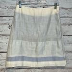 TSE Silk Blend Skirt Off White/Blue-8 Photo 2