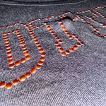 Ottawa Black T Photo 1