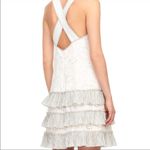 Rebecca Taylor Garden Linen Eyelet Dress in Vanilla Photo 2