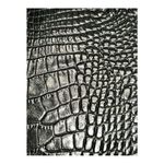 Kristine Black and Tan Clutch with Gold Accents Photo 2