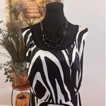 Dress Barn  Women’s Skirtdress Plus 20W Sleeveless Black & White Zebra Y2K Zipper Photo 1