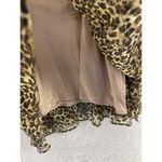 ZARA  Women's Dress Sheer Lined Animal Print Size Medium Long Sleeve Photo 3