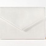 ZARA Crossbody Clutch Photo 0