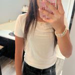 Pink Rose  Top Photo 0