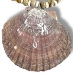 Free People Love Letter To The Sea Necklace NWT Bohemian Beach Adjustable Shell Photo 9