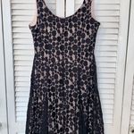 Disney Pink And Black Lace Dress Photo 0