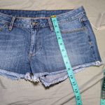 James Perse NWT  Cut Off 5 Pocket Jean Shorts W28 Medium Wash Photo 5