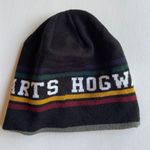 Warner Brothers Hogwarts Winter Hat  Photo 1