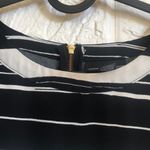 Adrienne Vittadini ‎ striped sheath dress Photo 2