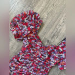 ZARA  Blogger Favorite Floral Puff Sleeve Ruched Mini Dress Photo 9