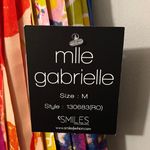 Mlle Gabrielle  Colorful Pleated Skirt Photo 2