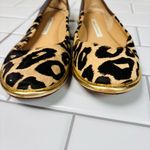 Diane Von Furstenberg DVF Navy and Leopard Botswana Ballet Flats‎ Photo 3