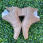 Daisy Fuentes  Perforated Tan Ankle Booties Photo 1
