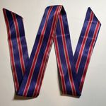 Thin Purse Scarf / Hairband / Scarf Photo 1