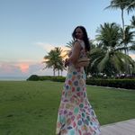 Beach Riot Elodie Midi Dress Photo 4