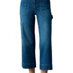 Maeve Anthropologie  Collette Gardener Carpenter Jeans Photo 0