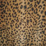 Boohoo 14 Shirt Dress Long Sleeved Tan Leopard Print Plus Photo 5