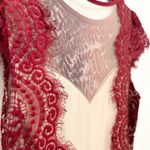 Windsor  Backless Dress Red Photo 7