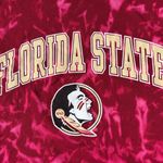 Florida State Women's Red Tie Photo 2