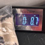 Charter Club  Cashmere Baselayer Sweater Cream 1X Photo 13