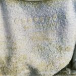 Odd People Apparel Unisex Burnout Raglan Wide Neck Sweatshirt Gold Oversized M White Size M Photo 2