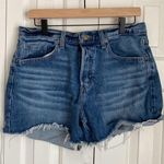 Universal Threads Universal Thread Mid-rise 90s Baggy Denim Shorts Size 8 Regular Photo 0