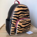 Coach Backpack Photo 0