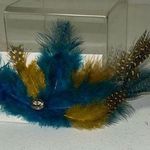 Feather & Cross Hair Photo 0