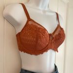 Bare Necessities Burnt Orange Pumpkin Floral Lace Fall Bra Sz 32 Photo 3