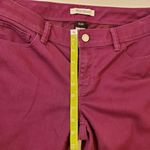 White House | Black Market  BLANC Purple Jeans 6 Photo 5