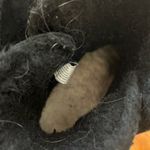 BEARPAW ☀️3/$25  wellston boots black 10 Photo 3