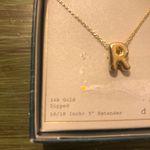 A New Day  NWT 14k Gold Dipped Bubble "R" Necklace 16/18" w/3" Extender Photo 1
