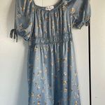 Pink Rose Sky Blue Puff Sleeve Flower Dress Photo 0