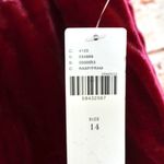 Anthropologie  | Raspberry Montie Velvet Mini Skirt Photo 10