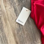 Quince Red Italian Cross Photo 5