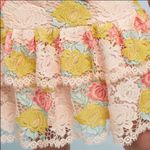 Anthropologie | Hutch gardenia lace crochet overlay ruffle skirt Photo 1