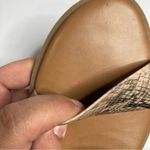 LC Lauren Conrad LC‎ Lauren Conrad snake Skin sandals size 8/8.5 Photo 6
