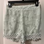 Blue Rain  lace shorts, Small, NWT Photo 0