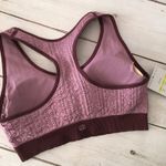 Champion Sports Bra Photo 1