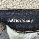 American Eagle NWT Jeans Artist Crop Low Rise Boho Stretch Women's 10 x 24.5 Photo 5