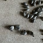 Brand new sports charms Photo 3