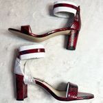 Nine West  Red & Black Snakeskin Chunky Block Heel Sandals Size 8 Photo 4