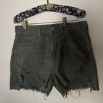 American Eagle Women’s Highest Rise Mom Shorts Sz 8 (29W) Green Y2K Festival New Photo 2