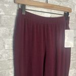 Athleta Nightime Bliss Sleep Jogger NWT Size XXS (Candy Red) Photo 2