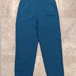 True Religion NWT Teal World Tour Boyfriend Joggers Size L New w/Tag Retail $109 Photo 5
