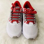 Nike Air Zoom Pegasus 40 Ohio State Men's Road Running Shoes Size M8.5/W10 Photo 0